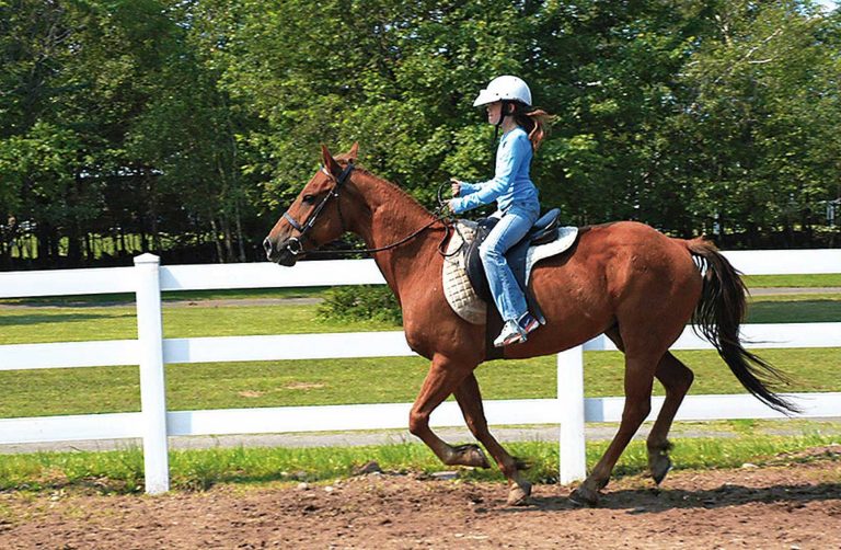 Horesback Riding at Camp Lindenmere | Pennsylvania Summer Camp